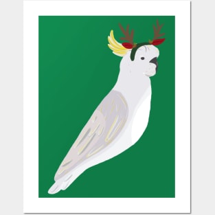 Christmas Australian Sulfur Crested Cockatoo Parrot Posters and Art